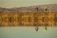 Clients riding along side the beautiful Tekapo canal system on one of our New Zealand cycle journeys. Image credit: Colin Monteath
